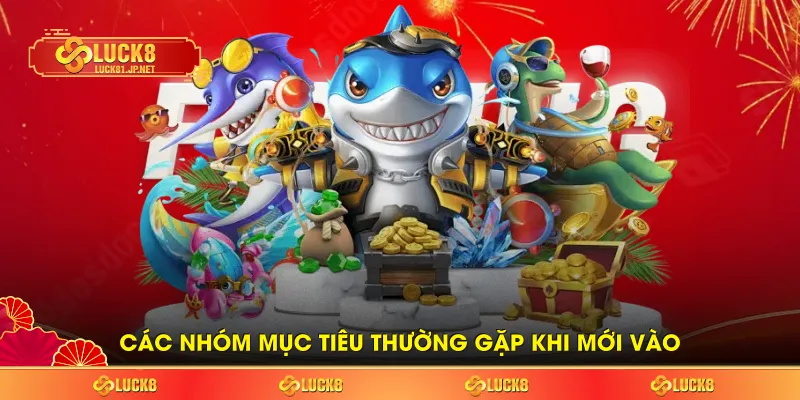 Các nhóm mục tiêu thường gặp khi mới vào Các nhóm mục tiêu thường gặp khi mới vào